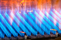 Cuttyhill gas fired boilers